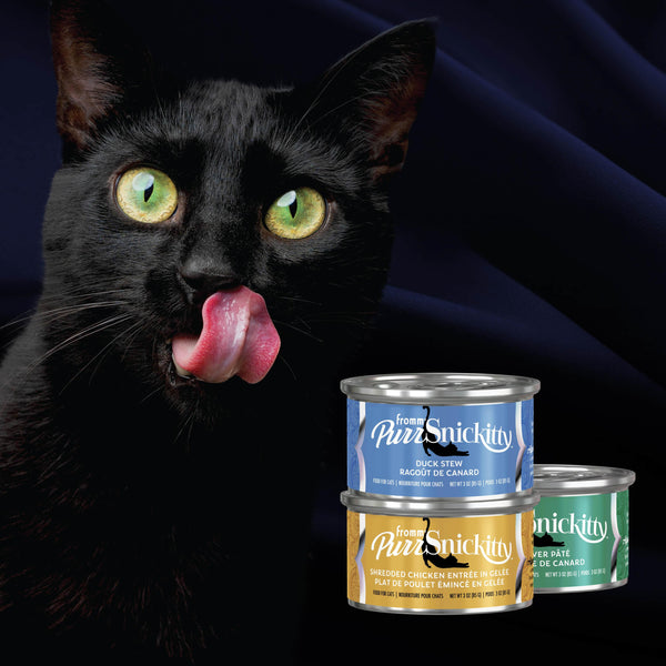 Fromm PurrSnickitty Duck Stew Wet Cat Food Can