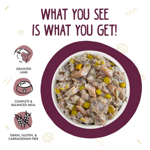 Weruva Classic Dog Hot Dayam! with Luscious Lamb in Gelee Wet Dog Food Can