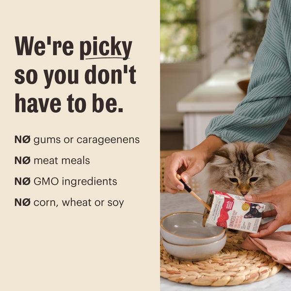 The Honest Kitchen Mousse Chicken with Goat's Milk Grain-Free Wet Cat Food