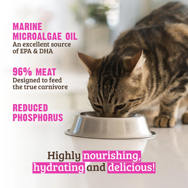 RAWZ Reduced Phosphorous Beef Pate Wet Cat Food Can