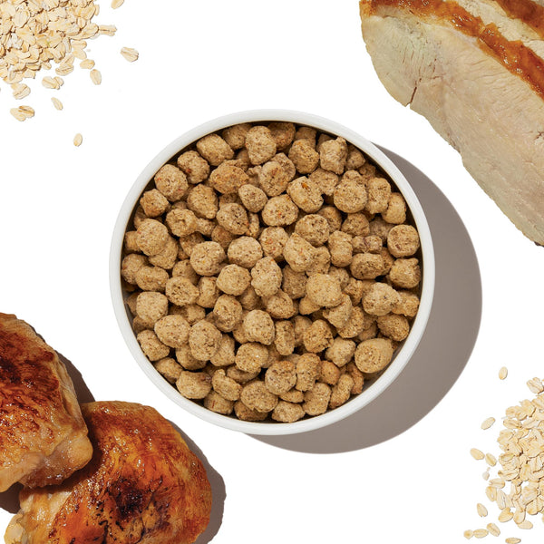 The Honest Kitchen Essential Clusters Whole Grain Beef & Chicken Dry Dog Food