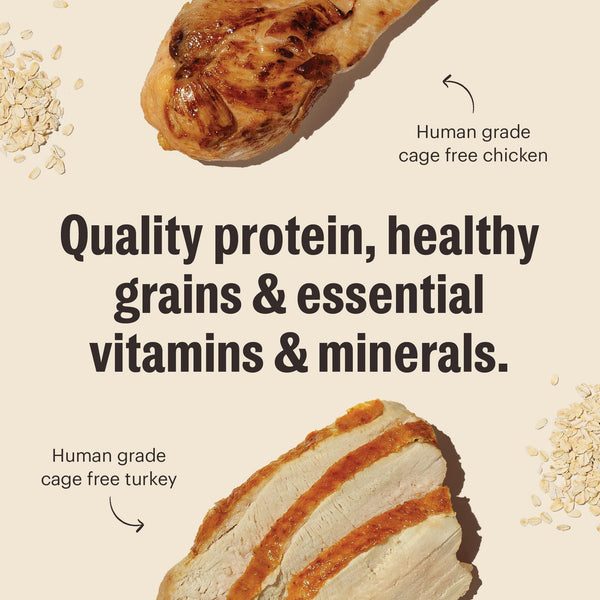 The Honest Kitchen Essential Clusters Whole Grain Turkey & Chicken Dry Dog Food