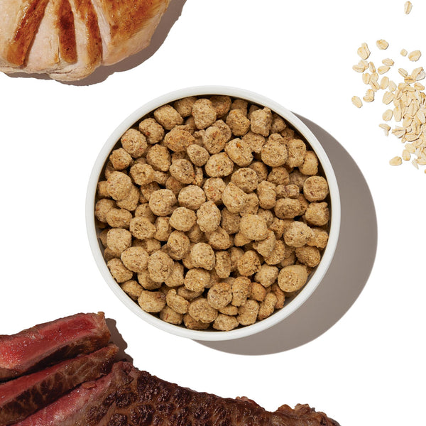 The Honest Kitchen Essential Clusters Whole Grain Turkey & Chicken Dry Dog Food