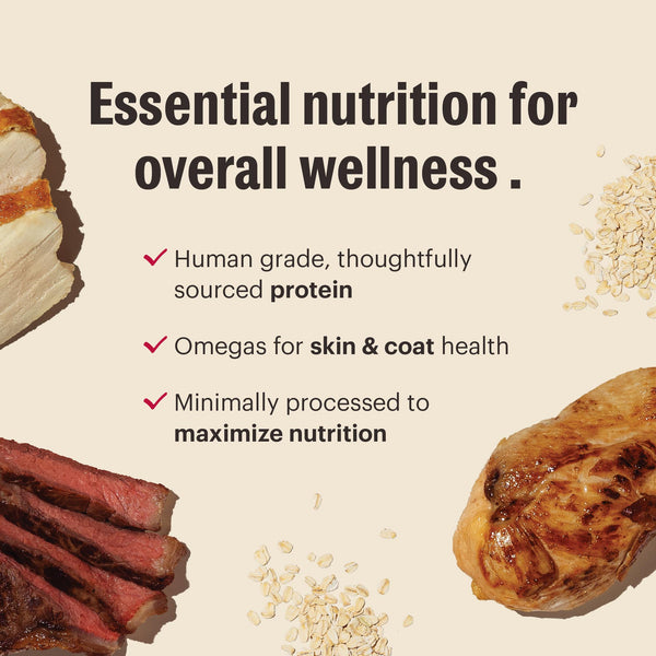The Honest Kitchen Essential Clusters Whole Grain Turkey & Chicken Dry Dog Food