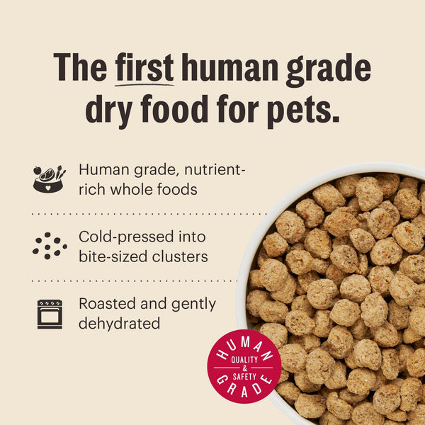 The Honest Kitchen Essential Clusters Whole Grain Chicken Dry Dog Food