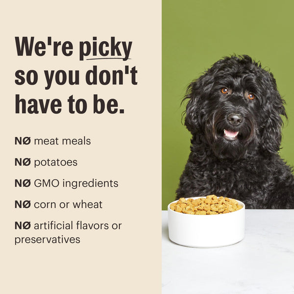 The Honest Kitchen Essential Clusters Whole Grain Chicken Dry Dog Food