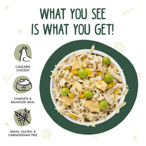 Weruva Classic Dog Green Eggs & Chicken Recipe with Chicken, Pumpkin, Greens & Egg in Gravy Wet Dog Food Can