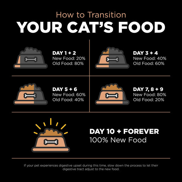 Go! Solutions Digestion + Gut Health Salmon with Ancient Grains Dry Cat Food