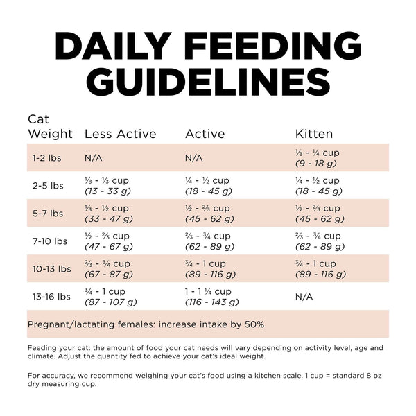 Go! Solutions Digestion + Gut Health Salmon with Ancient Grains Dry Cat Food
