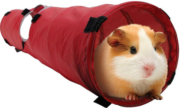 Living World Small Animal Tunnel, Color Varies