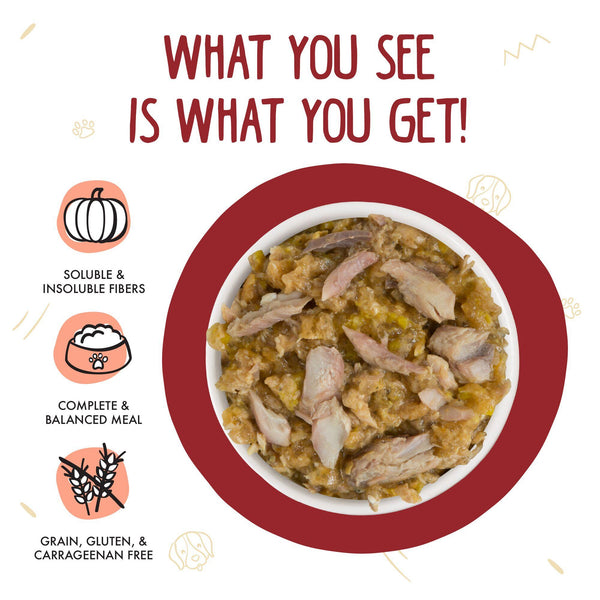 Weruva Classic Dog Marbella Paella au Maquereau et à la Citrouille en Aspic Boîte de nourriture humide pour chiens