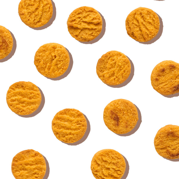 The Honest Kitchen Cheddar Biscuits Real Cheddar Cheese Dog Treats