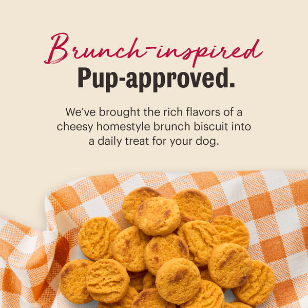 The Honest Kitchen Cheddar Biscuits Real Cheddar Cheese Dog Treats