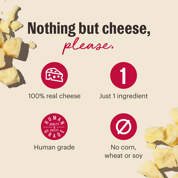 The Honest Kitchen Crunchy Cheese Bites Moon Cheese 100% Gouda Cheese Dog Treats