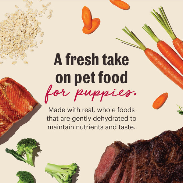 The Honest Kitchen Wholemade Beef & Salmon Whole Grain Puppy Dehydrated Dog Food