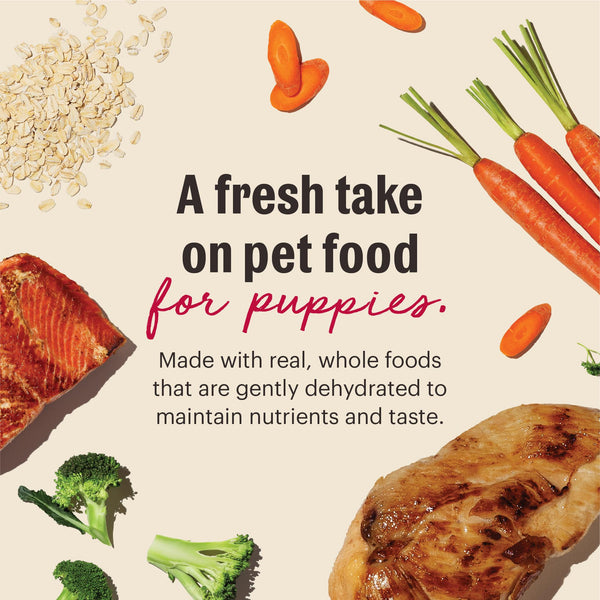 The Honest Kitchen Wholemade Chicken & Salmon Whole Grain Puppy Dehydrated Dog Food