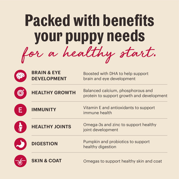The Honest Kitchen Wholemade Chicken & Salmon Whole Grain Puppy Dehydrated Dog Food