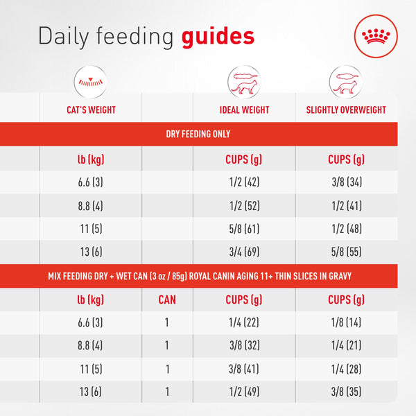 Royal Canin Feline Aging 11+ Dry Cat Food