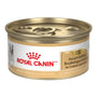 Royal Canin Breed Health Nutrition French Bulldog Loaf in Sauce Wet Dog Food Can