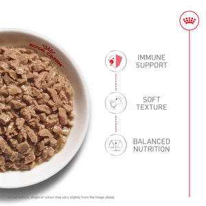 Royal Canin Kitten Thin Slices in Gravy Multipack Wet Cat Food Can