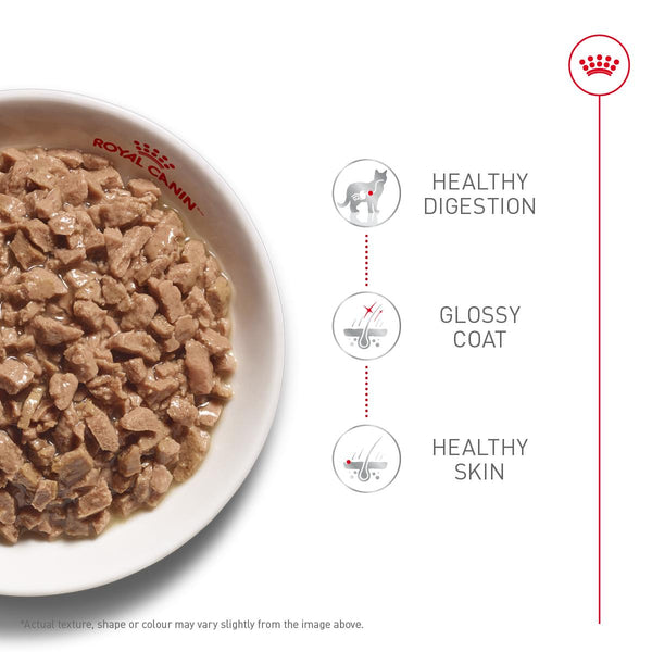 Royal Canin Feline Hair & Skin Thin Slices in Gravy Multipack Wet Cat Food Can
