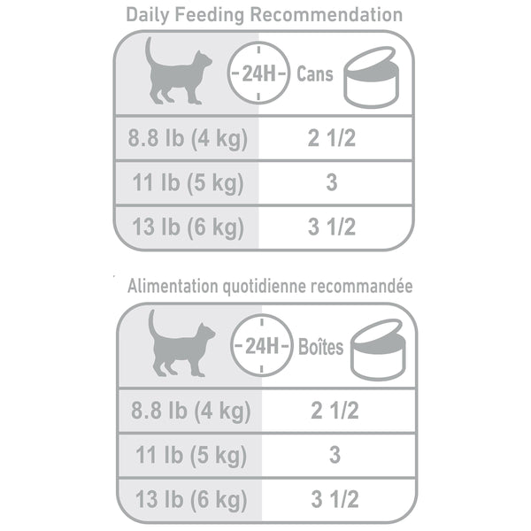 Royal Canin Feline Aging 11+ Multipack Wet Cat Food Can