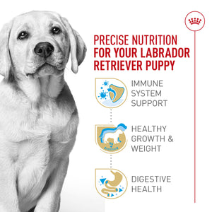 Royal Canin Breed Health Nutrition Labrador Retriever Puppy Dry Dog Food