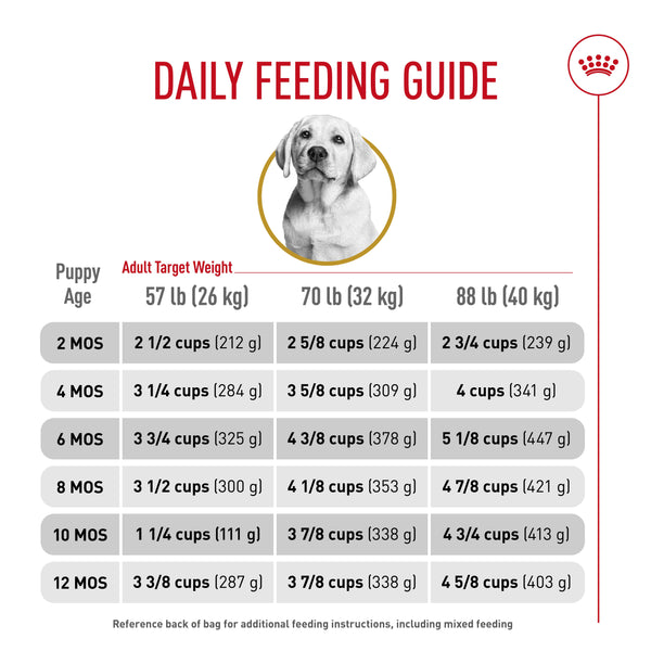 Royal Canin Breed Health Nutrition Labrador Retriever Puppy Dry Dog Food