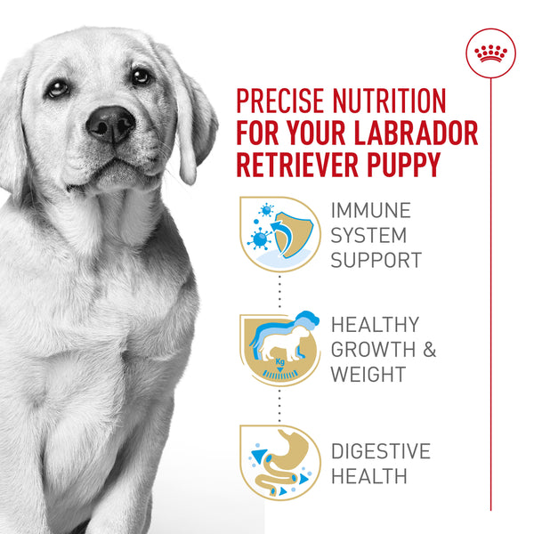 Royal Canin Breed Health Nutrition Labrador Retriever Puppy Dry Dog Food