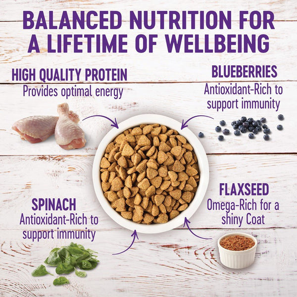 Wellness Complete Health Large Breed Adult Chicken & Brown Rice Dry Dog Food