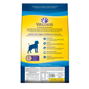 Wellness Complete Health Large Breed Adult Chicken & Brown Rice Dry Dog Food