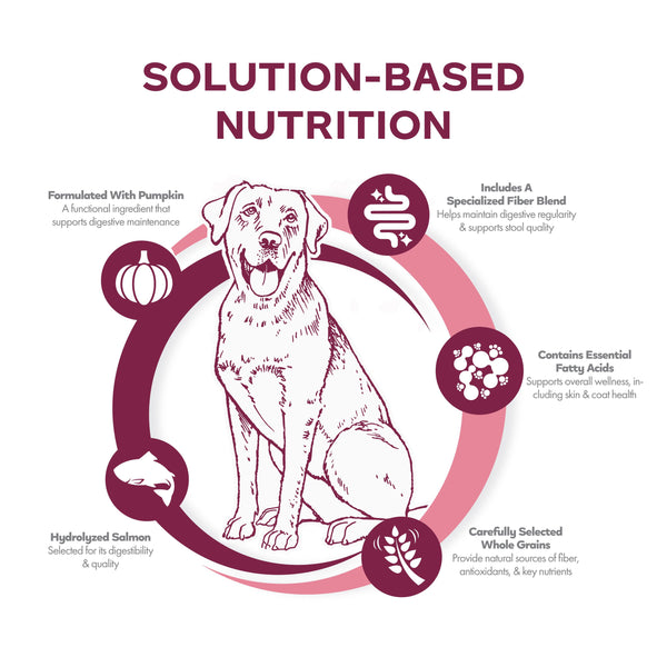 Fromm Nutritionals Sensitive Skin & Stomach Salmon & Whole Oats Dry Dog Food