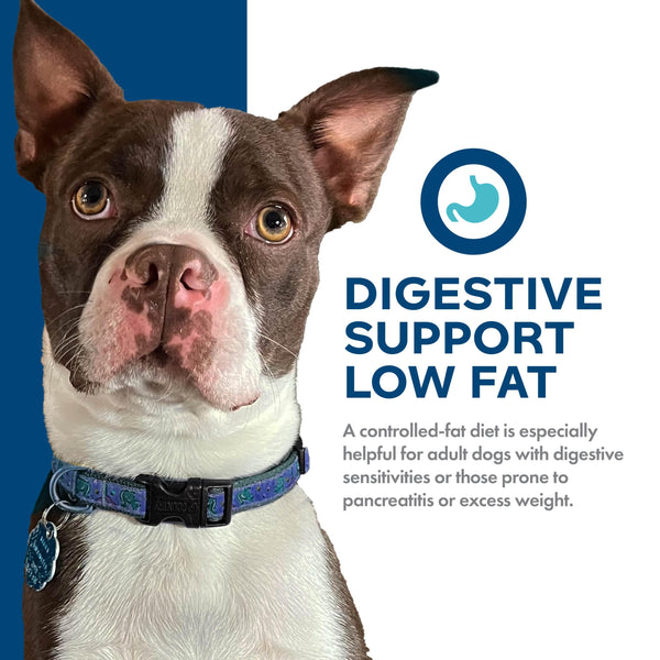 Fromm Nutritionals Digestive Support Low Fat Chicken & Oatmeal Dry Dog Food