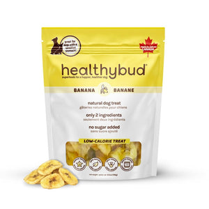 Healthybud Banana Chip Dog Treats
