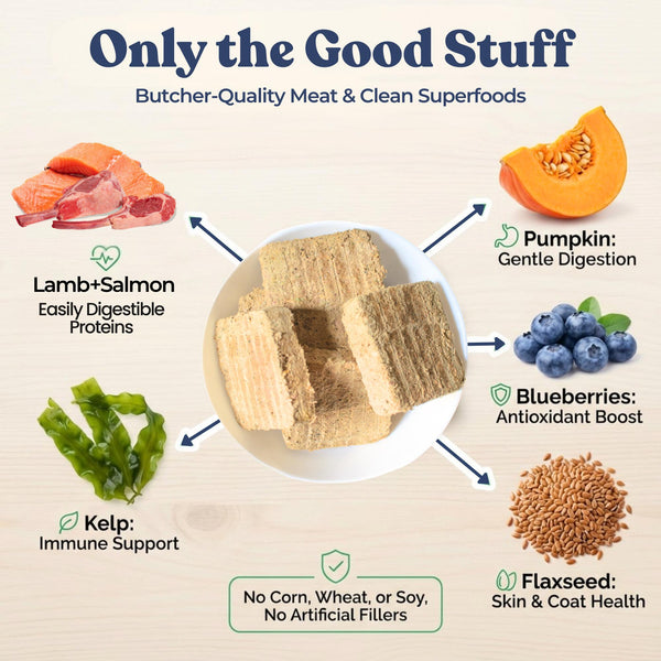 Healthybud Lamb + Salmon Meal Patties Freeze-Dried Dog Food