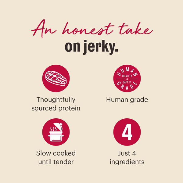 The Honest Kitchen Slow Cooked Salmon Jerky Dog Treats