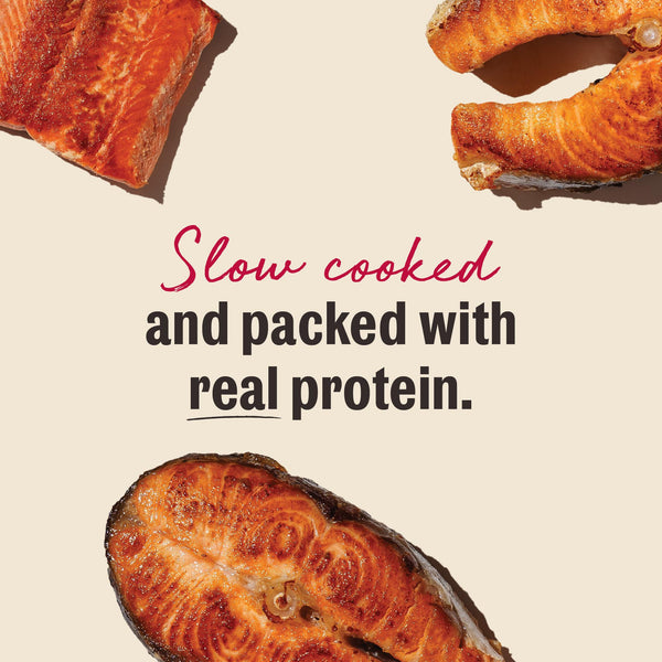 The Honest Kitchen Slow Cooked Salmon Jerky Dog Treats