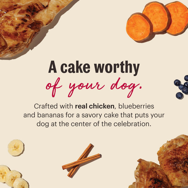The Honest Kitchen Birthday Cake Mix Chicken & Blueberries Dog Treats