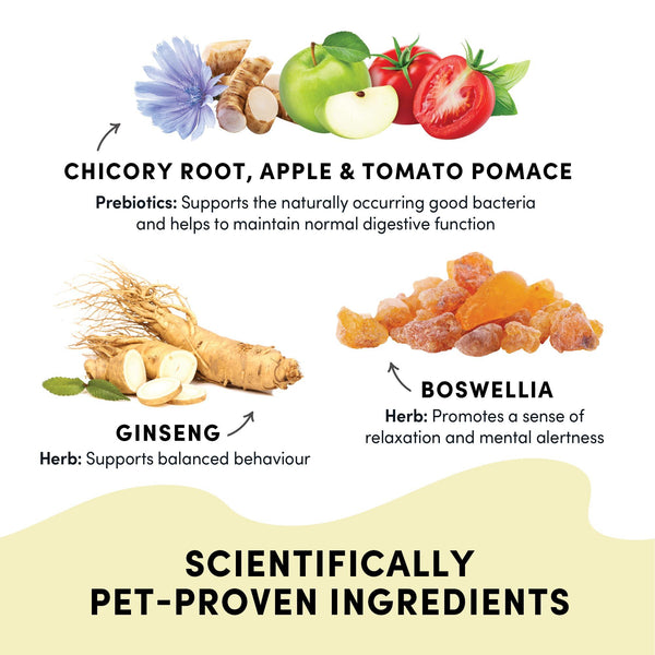 Crumps Gutsy Happy Bites Dog Supplement