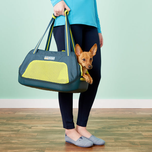 Kurgo Explorer Dog Carrier, Large