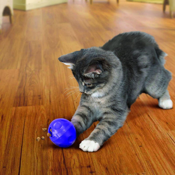 KONG Active Treat Ball Cat Toy