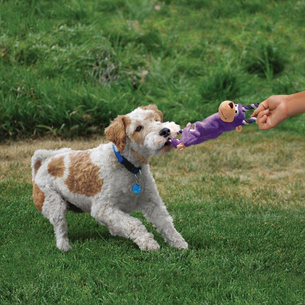 KONG Tuggerknots Monkey Dog Toy
