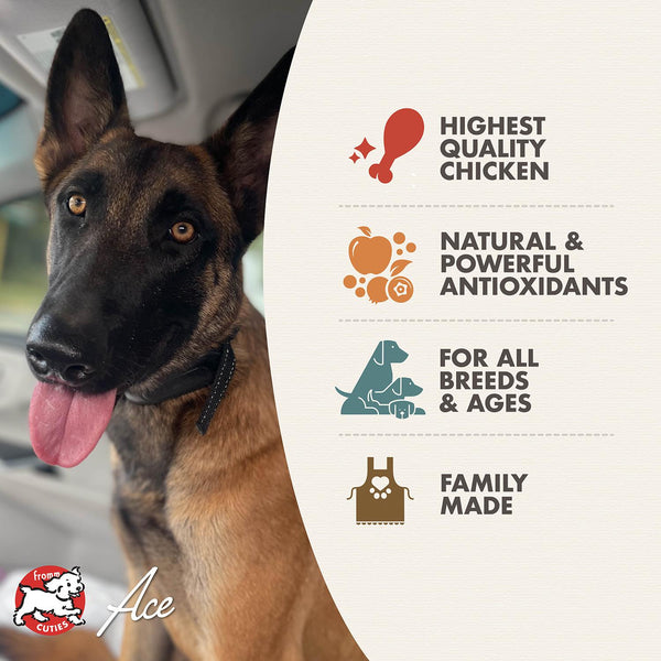 Diner Favorites Louie’s Chicken & Pasta Stew Wet Dog Food