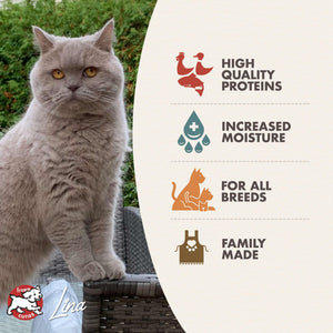 Gold Adult Chicken, Duck & Salmon Pâté Wet Cat Food