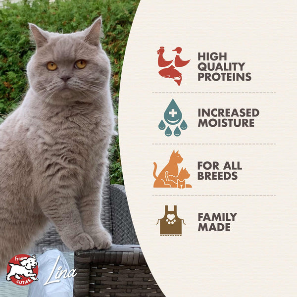 Gold Adult Chicken, Duck & Salmon Pâté Wet Cat Food