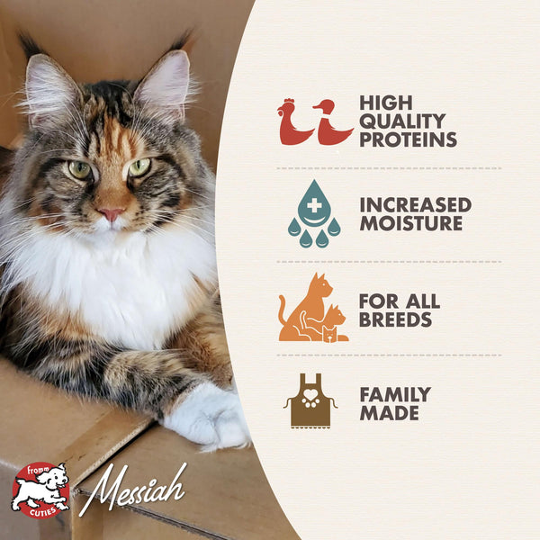 Gold Healthy Weight Chicken & Duck Pâté Wet Cat Food