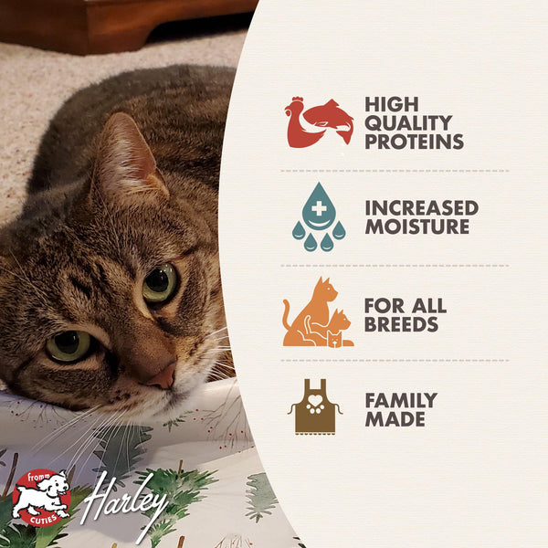 Gold Indoor Cat Hairball Control Chicken & Salmon Pâté Wet Cat Food