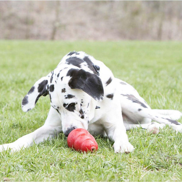 Gâteries pour chiens KONG Stuff'N Sweet Patate, 5 oz