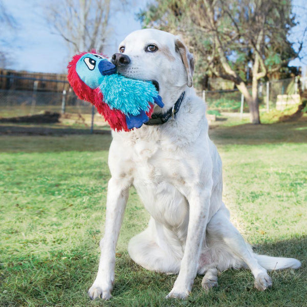 KONG Dodo Quirky Dog Toy, Color Varies, Medium