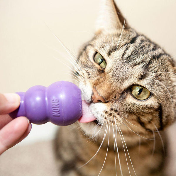 KONG Kitty KONG Jouet pour chat